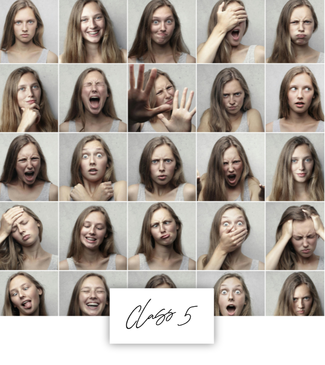 Verdammt fabelhafte Figuren Class 5